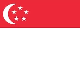 singapore search offshore jurisdiction business directory flag